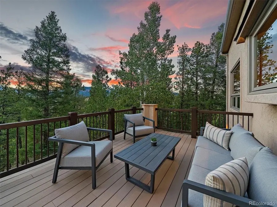 13695 May Long Ct, Pine, CO 80470 - #2