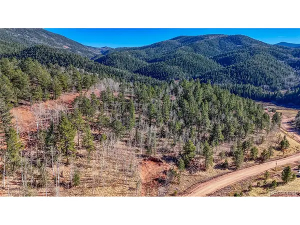80 Beaver Pond Rd, Divide, CO 80814
