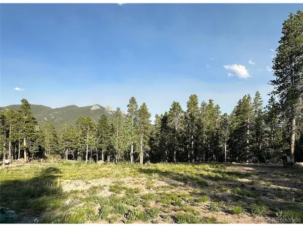 754 Mountain Meadows Dr, Black Hawk, CO 80422