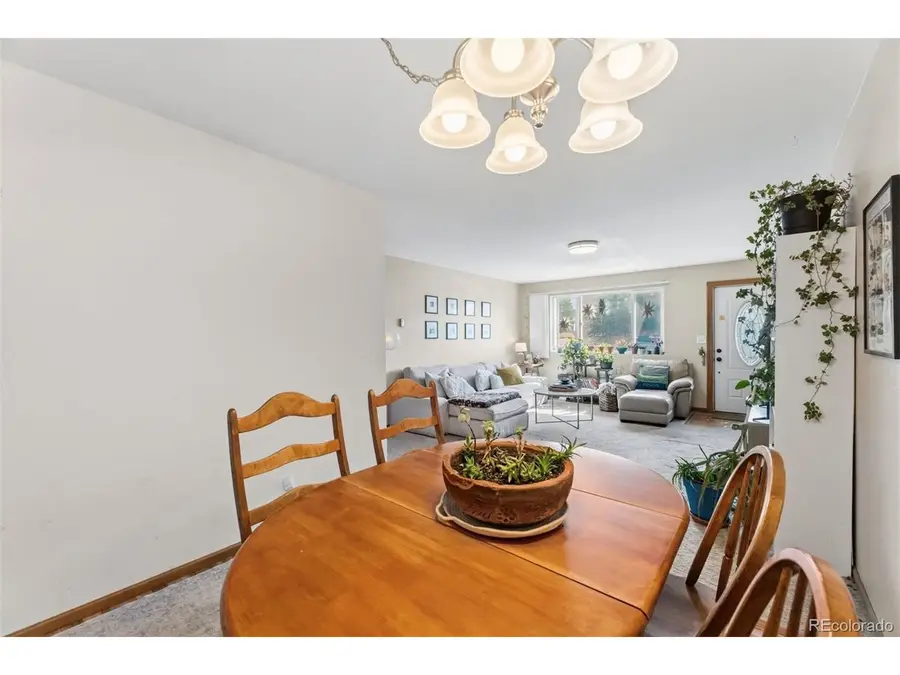 101 S Maple St, Leadville, CO 80461 - #3