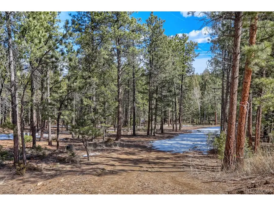 249 Territory Dr, Pine, CO 80470 - #2