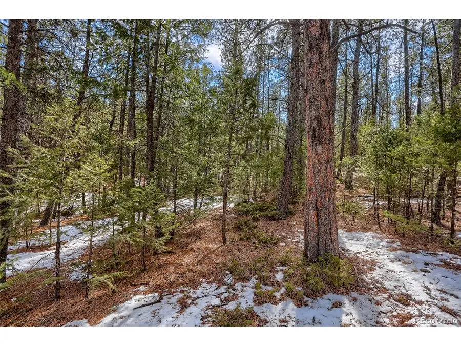 249 Territory Dr, Pine, CO 80470 - #3