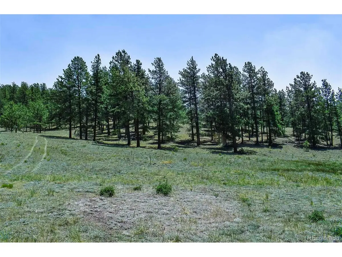 0 6th St, Guffey, CO 80820 - #1