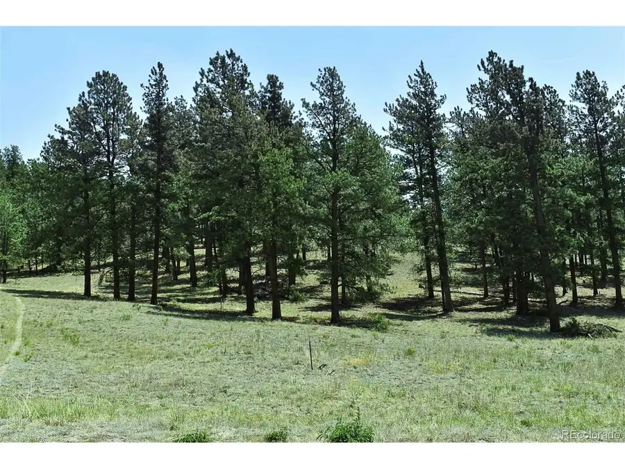 0 6th St, Guffey, CO 80820 - #2