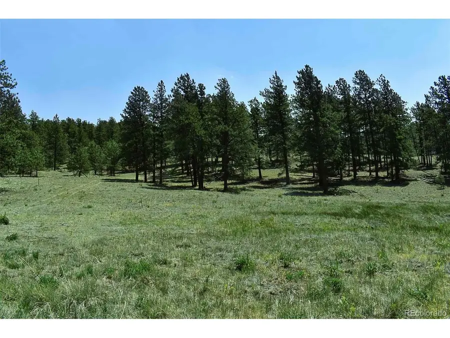 0 6th St, Guffey, CO 80820 - #3