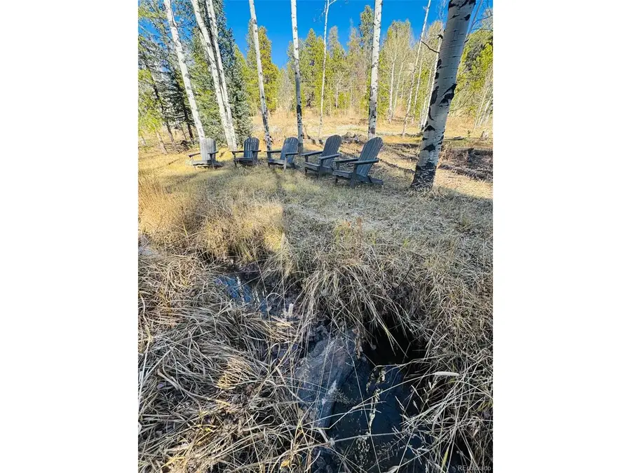 216620 Indian Springs Rd, Conifer, CO 80433 - #2