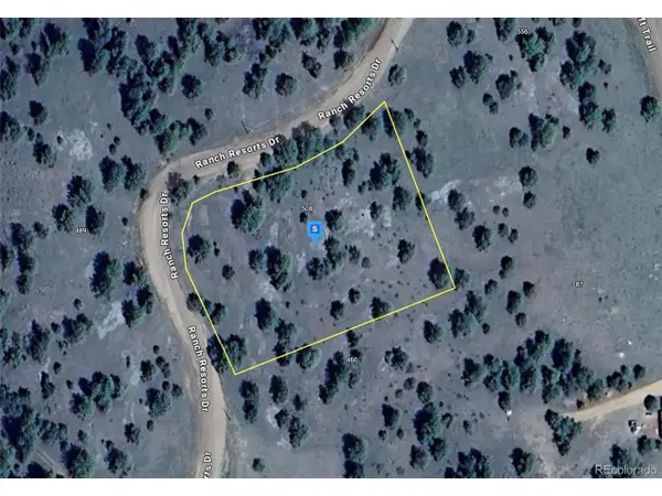 508 Ranch Resorts Dr, Florissant, CO 80816