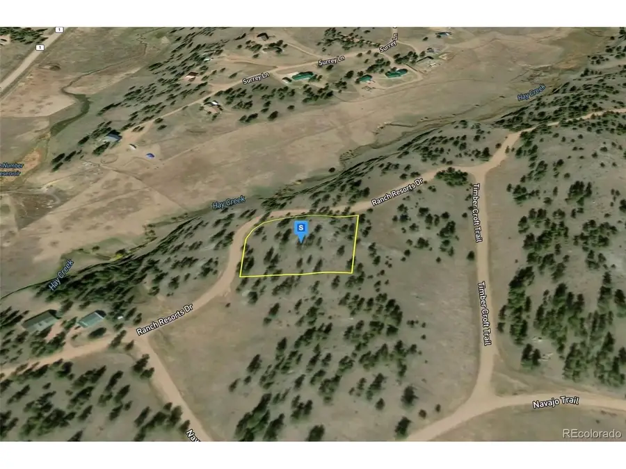 508 Ranch Resorts Dr, Florissant, CO 80816 - Image #2