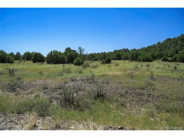 37250 Kunzite Rd, Trinidad, CO 81082