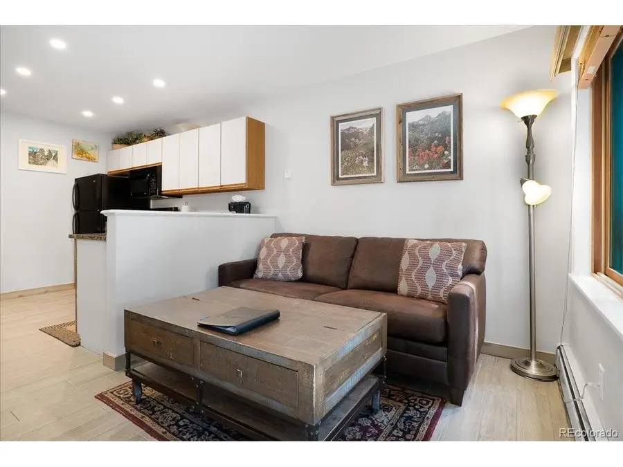 120 Sawmill Rd #106, Breckenridge, CO 80424 - #3