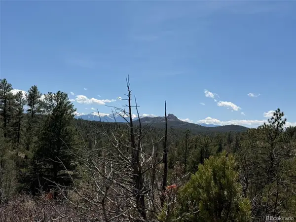 176 Arnold Dr, Cotopaxi, CO 81223
