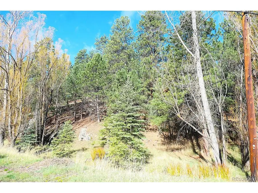 5201 Highway 73, Evergreen, CO 80439 - #2