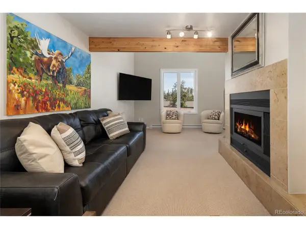 821 Wolverine #D, Fraser, CO 80442