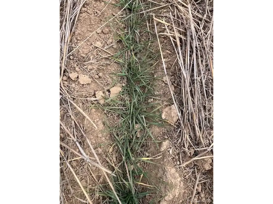Tbd E 112th Ave, Bennett, CO 80102 - #3