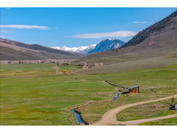 623 County Road 813, Almont, CO 81210