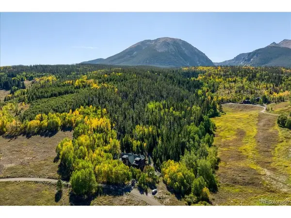 1624 Ruby Rd, Silverthorne, CO 80498