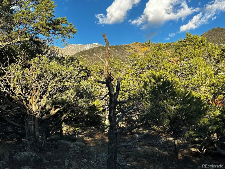 1786 Summitview Way, Crestone, CO 81131 - #3