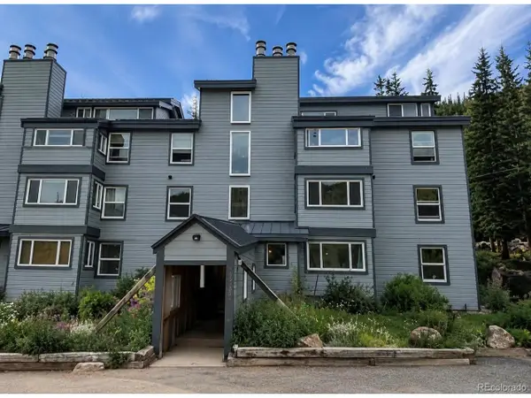 9366 Fall River Rd #106, Idaho Springs, CO 80452