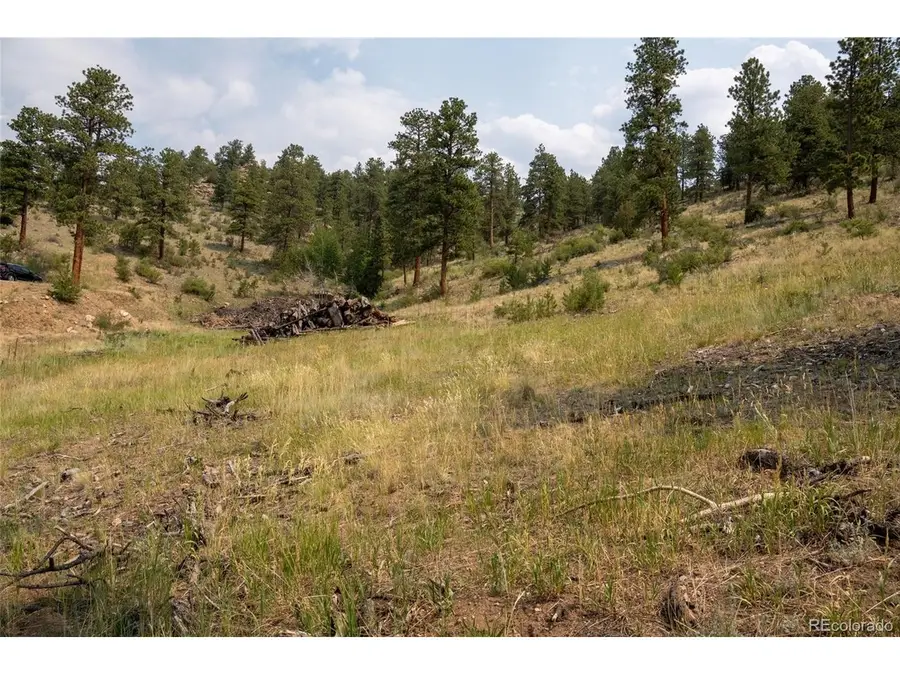 13990 Pine Valley Rd, Pine, CO 80470 - #3