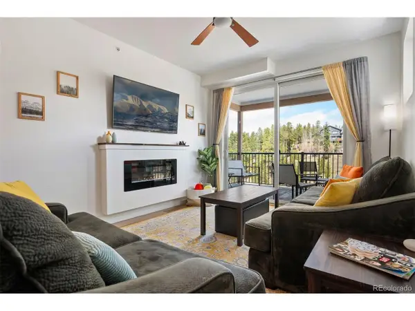 421 W Meadow Mile #3, Fraser, CO 80442