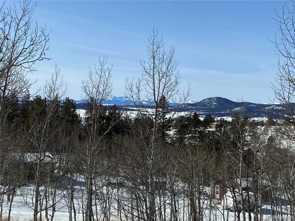 1 Bonus Gulch Way, Jefferson, CO 80456