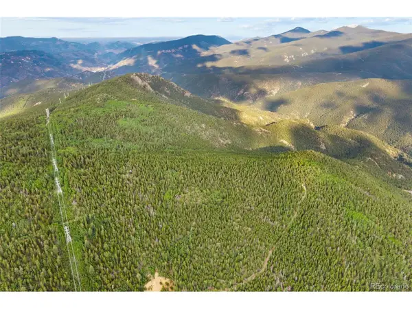 Lamartine, Idaho Springs, CO 80452