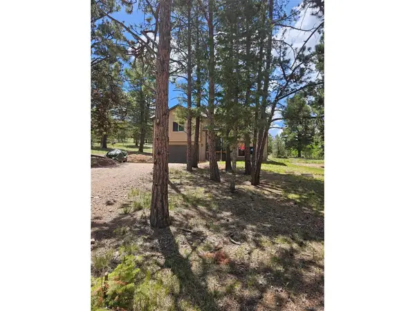 24 Big Horn Circle Cir, Florissant, CO 80816