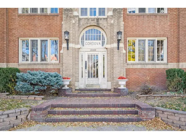 1050 N Washington St #101, Denver, CO 80203