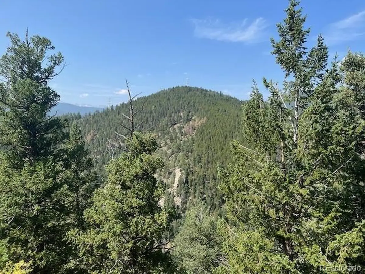 0 Raven Dr, Idaho Springs, CO 80452 - #1