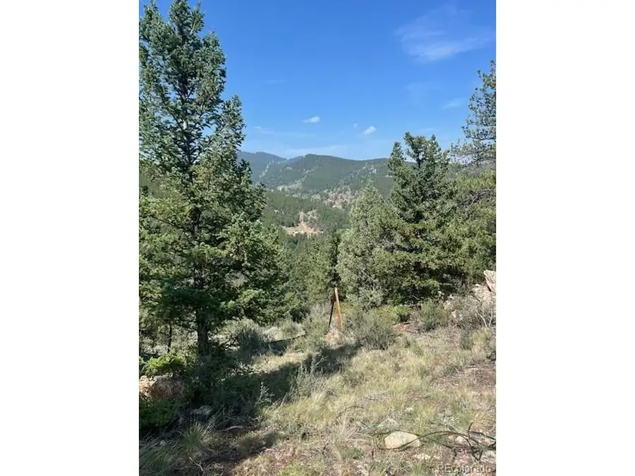0 Raven Dr, Idaho Springs, CO 80452 - #3