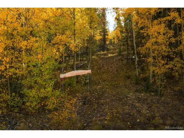 853 W Longbow Dr, Como, CO 80432