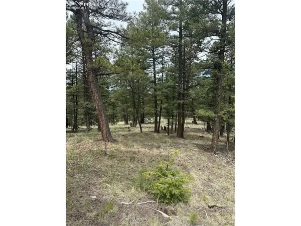1120 N Mountain Estates Rd, Florissant, CO 80816