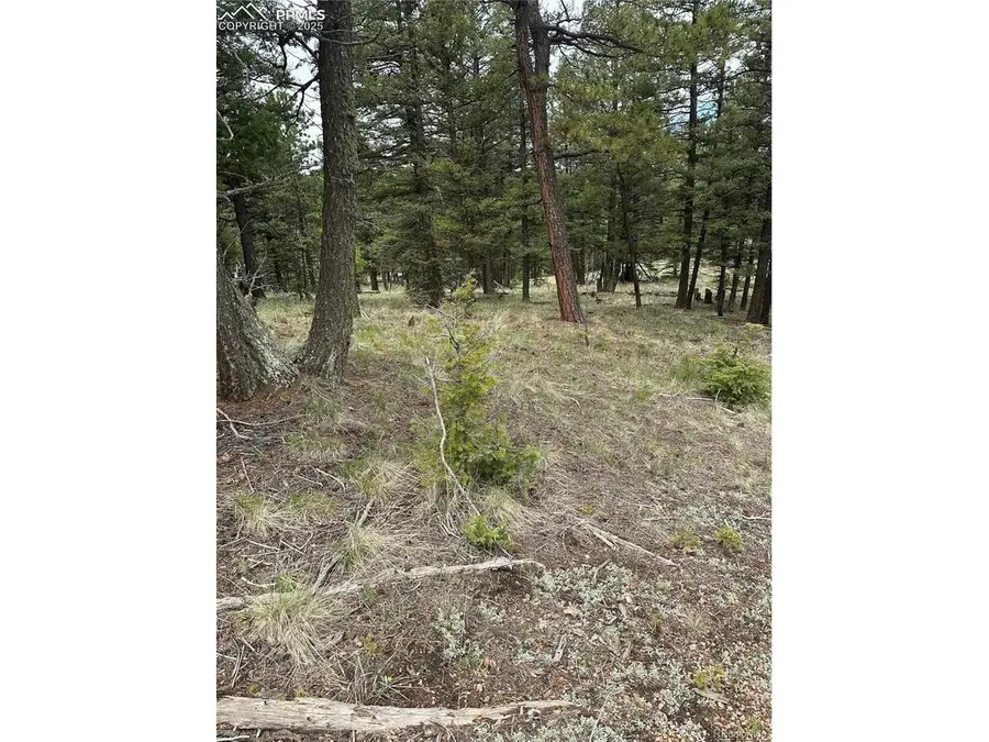 1120 N Mountain Estates Rd, Florissant, CO 80816 - #2