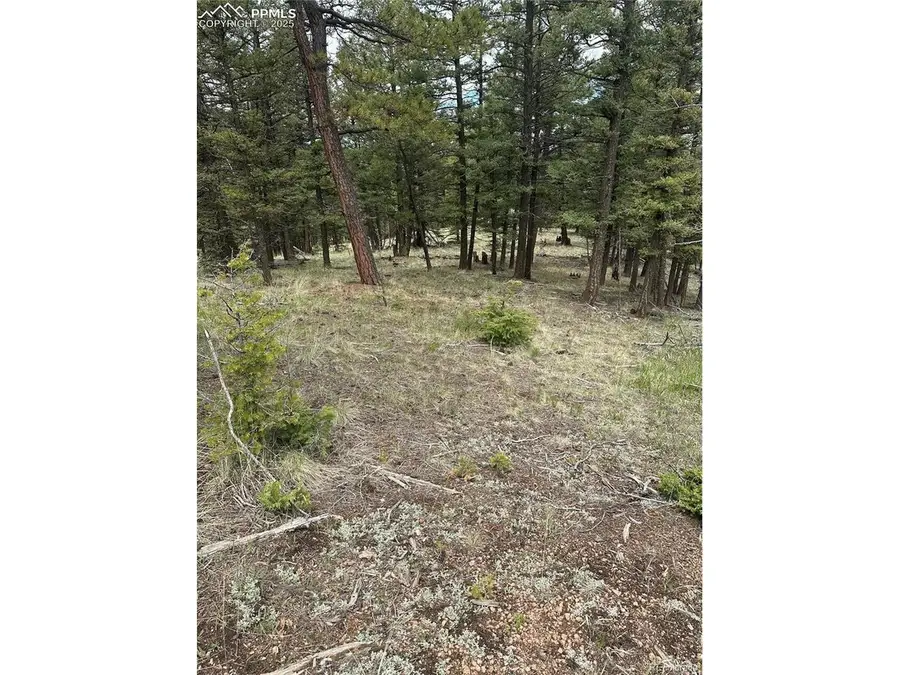 1120 N Mountain Estates Rd, Florissant, CO 80816 - #3