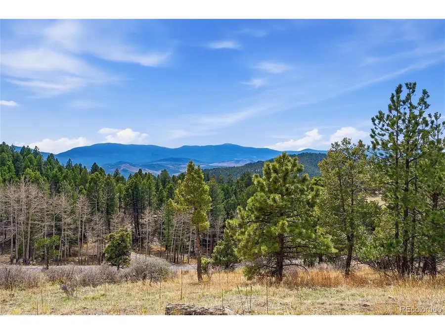 13108 Elsie Rd, Conifer, CO 80433 - #3