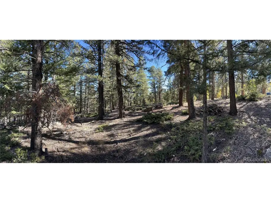 Aspen Turn, Buena Vista, CO 81211 - #3