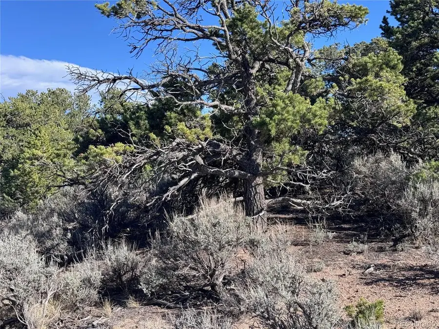 3292 Geneen Rd, Fort Garland, CO 81133 - #3