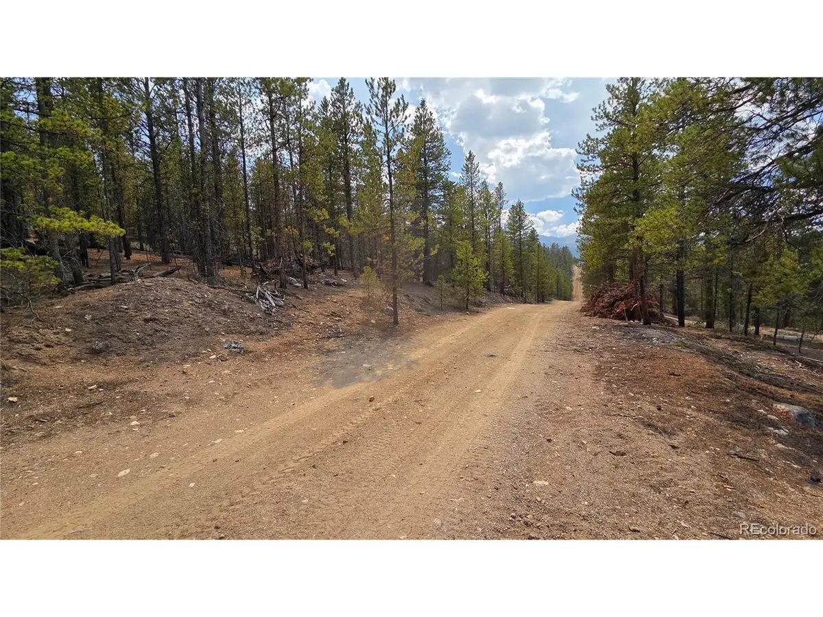 67 Lodgepole Dr, Leadville, CO 80461 - #1