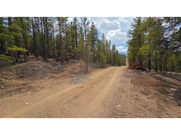 67 Lodgepole Dr, Leadville, CO 80461