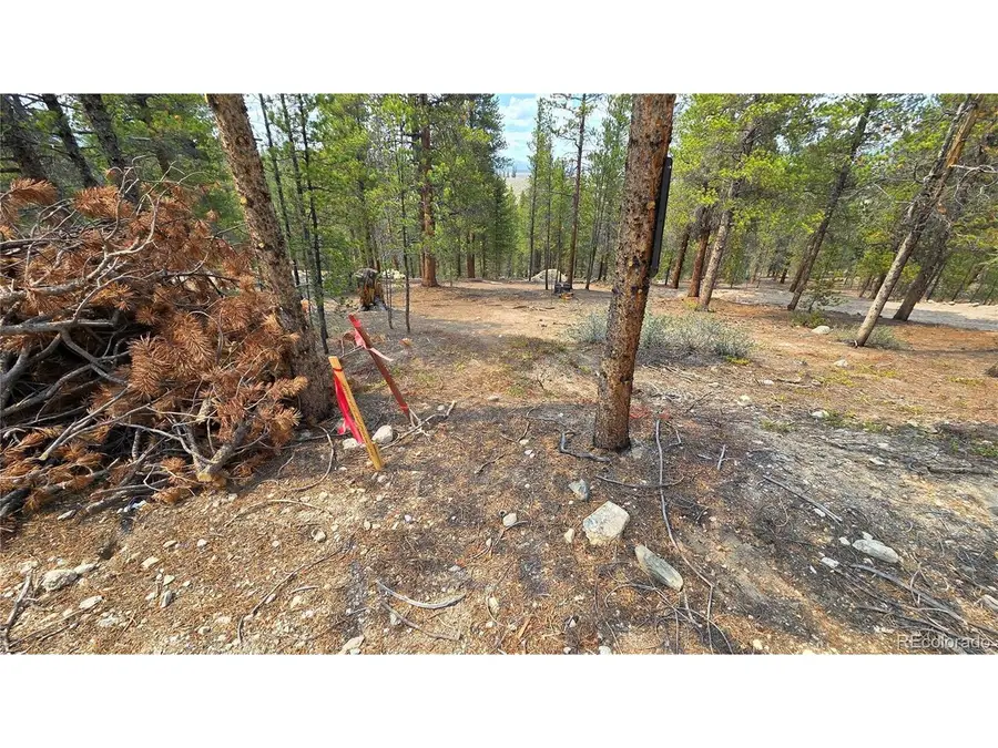 67 Lodgepole Dr, Leadville, CO 80461 - #2