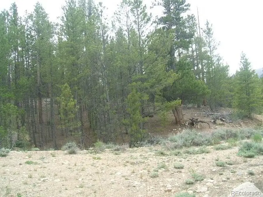 67 Lodgepole Dr, Leadville, CO 80461 - #3