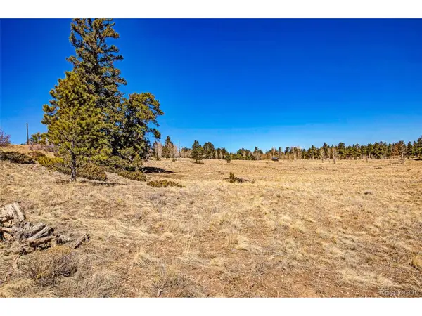 1250 Kaufman Rd, Hartsel, CO 80449