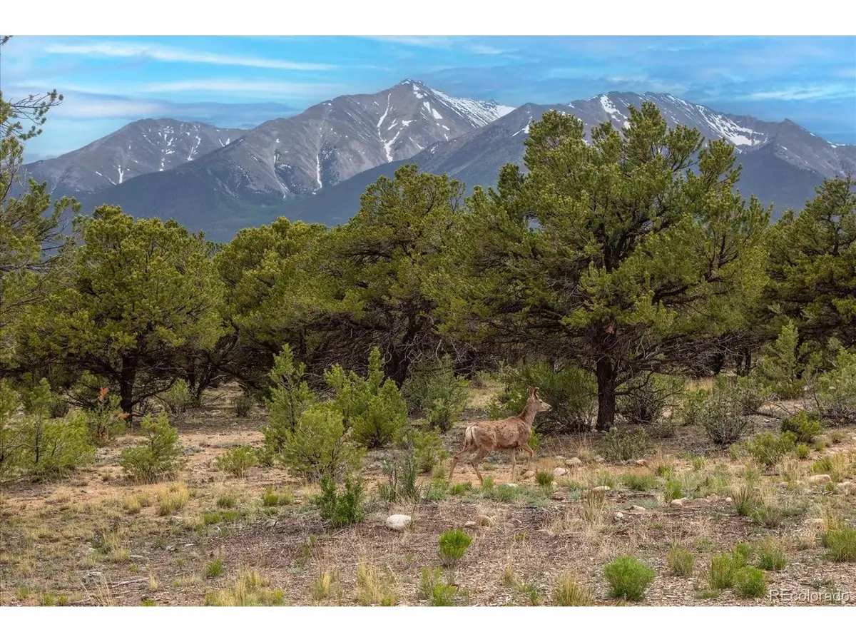 29258 Sage Ln, Buena Vista, CO 81211 - #1