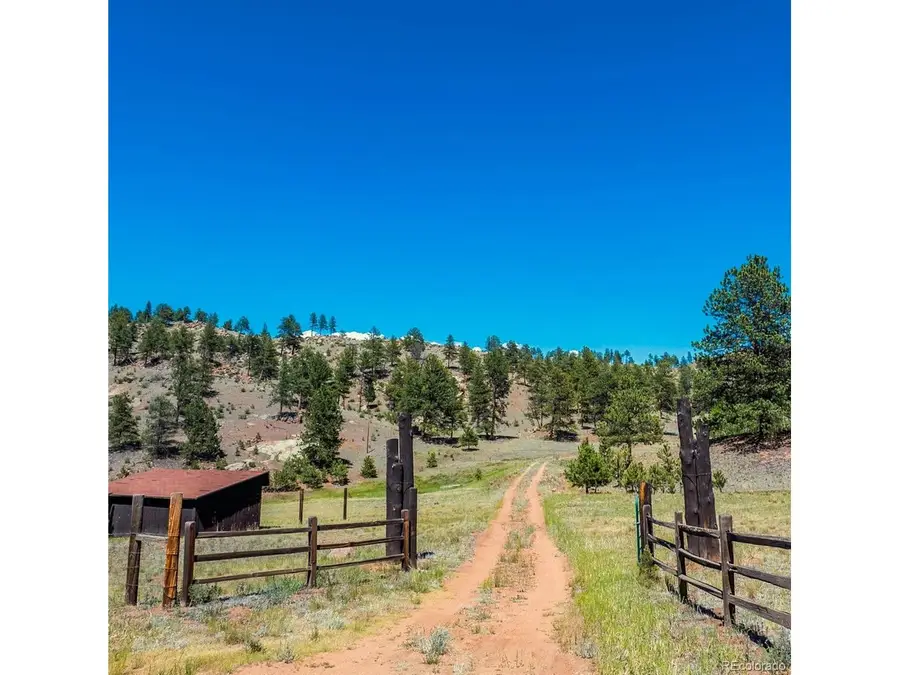 Address Withheld By Seller, Lake George, CO 80827 - #2