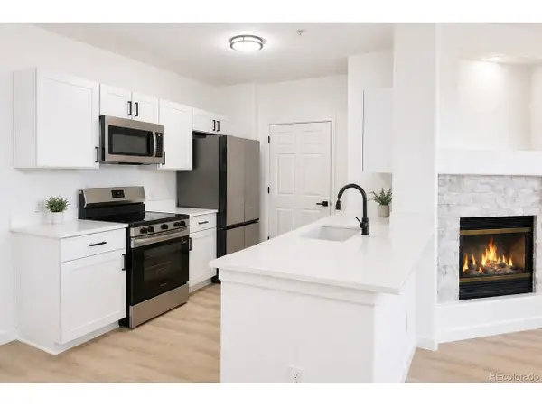 494 Black Feather Loop #106, Castle Rock, CO 80104