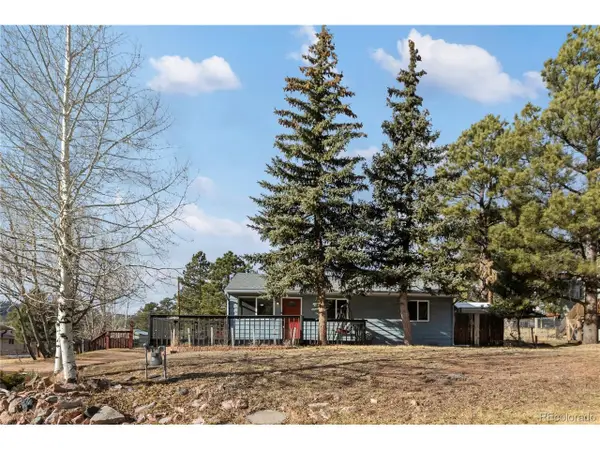 410 N Baldwin St, Woodland Park, CO 80863