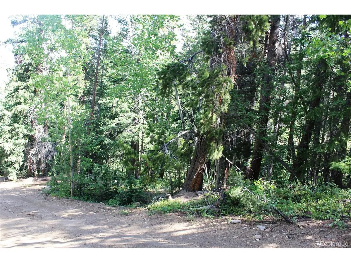 31 Sunflower Rd, Black Hawk, CO 80422 - #1