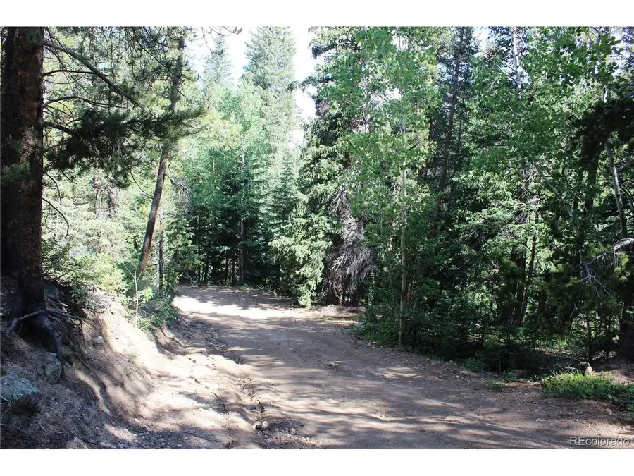 31 Sunflower Rd, Black Hawk, CO 80422 - #2