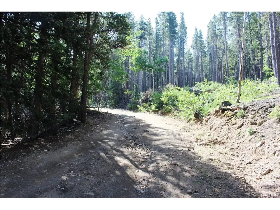 31 Sunflower Rd, Black Hawk, CO 80422 - #3