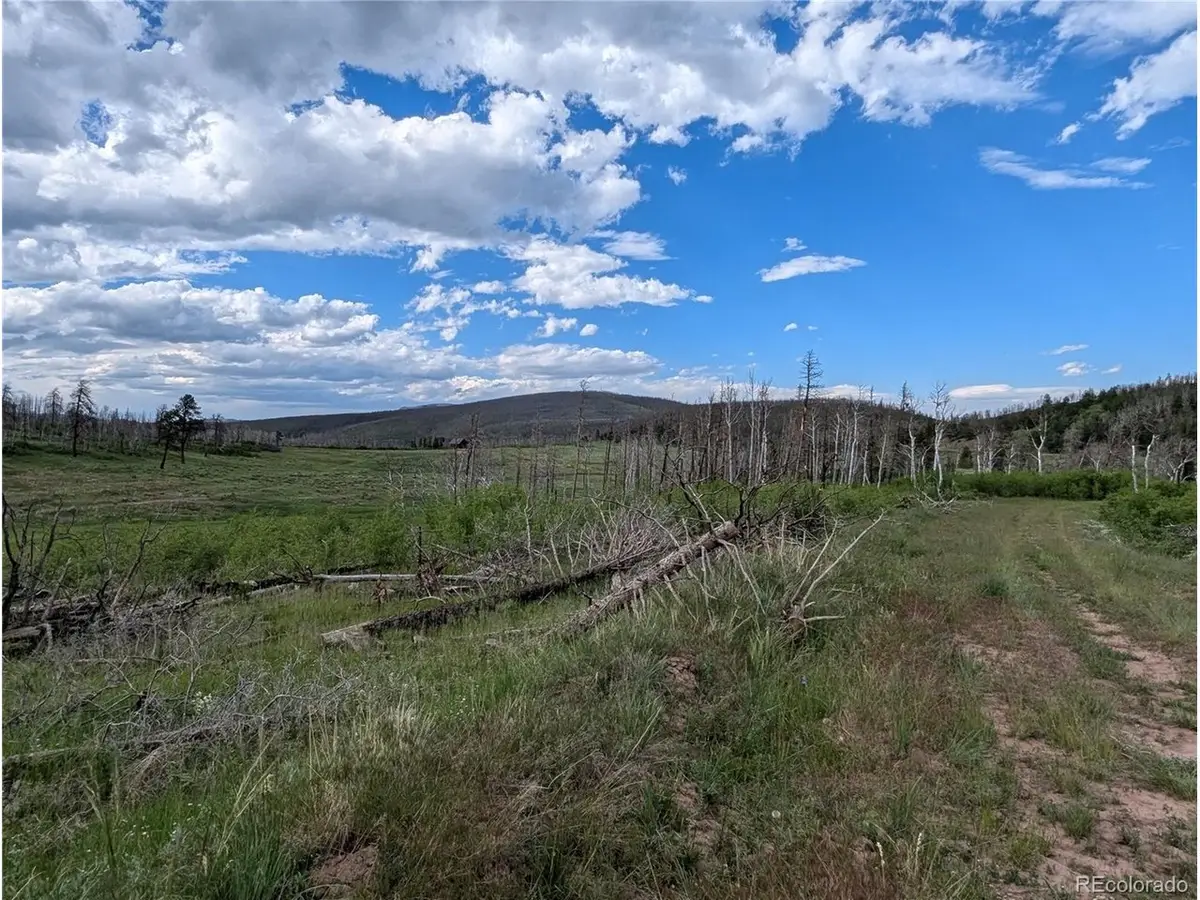 1692 Trimm Pl, Fort Garland, CO 81133 - #1